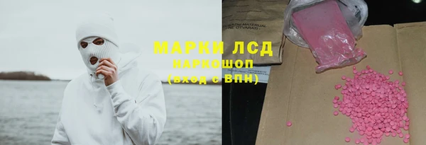 гидра Вяземский