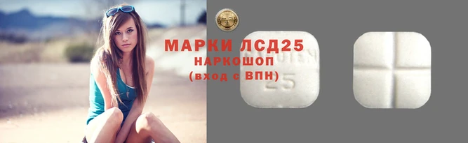 гидра Вяземский