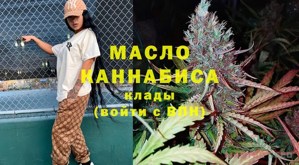 гидра Вяземский