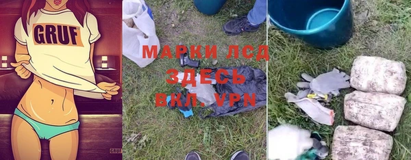гидра Вяземский