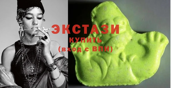гидра Вяземский